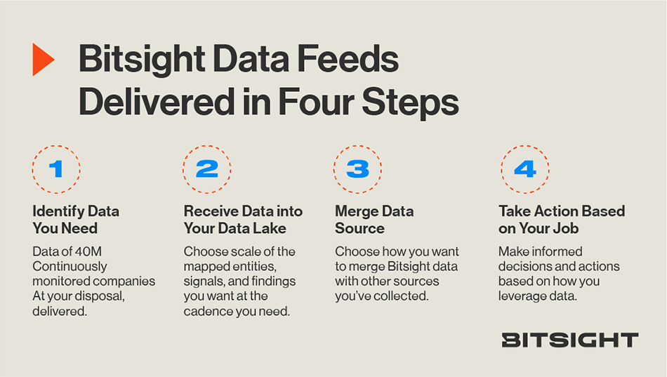 Bitsight Data feeds