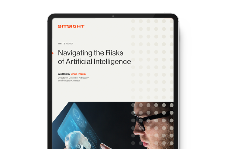 White Paper - Navigating the Risks of AI