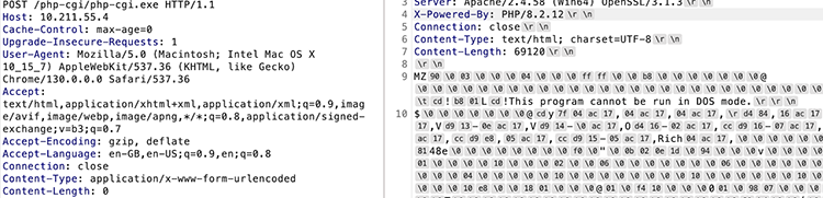 Binary file response