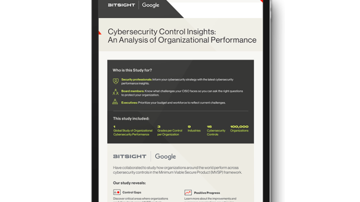 google bitsight research infographic